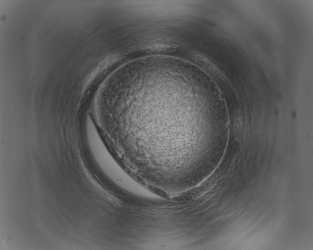 X0000073980734200608281238