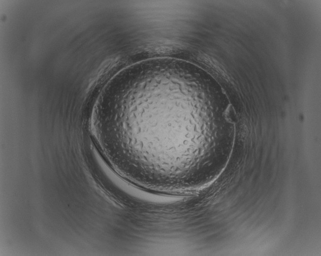 X0000073980738200608281238