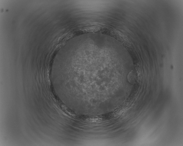 X0000073980745200608281238