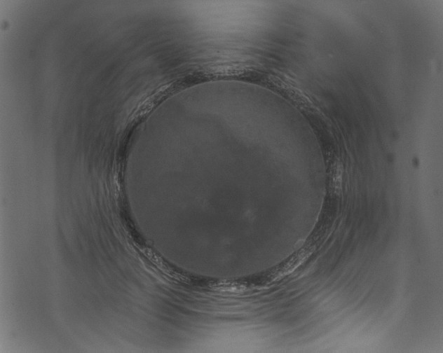 X0000073980746200608281238