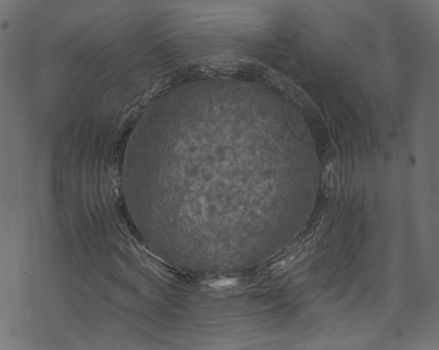 X0000073980772200608281238