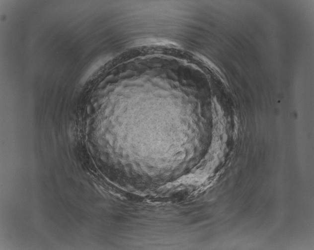 X0000073980775200608281238