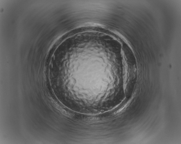 X0000073980783200608281238