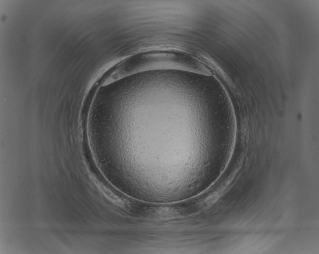 X0000073980787200608281237