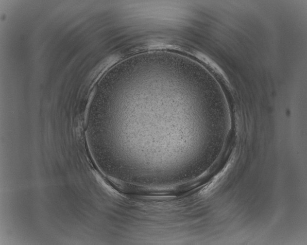 X0000073980801200608281237
