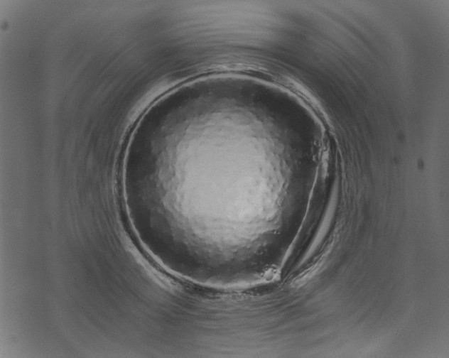 X0000073980803200608281237