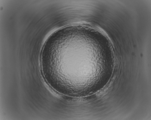 X0000073980811200608281237