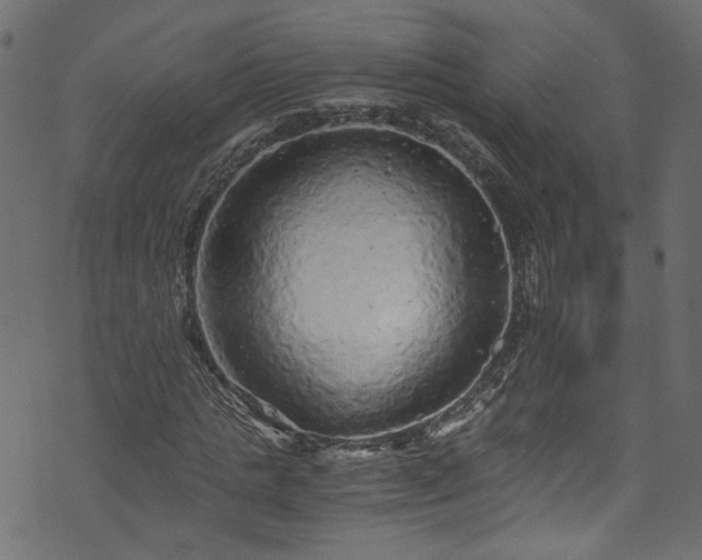 X0000073980821200608281236