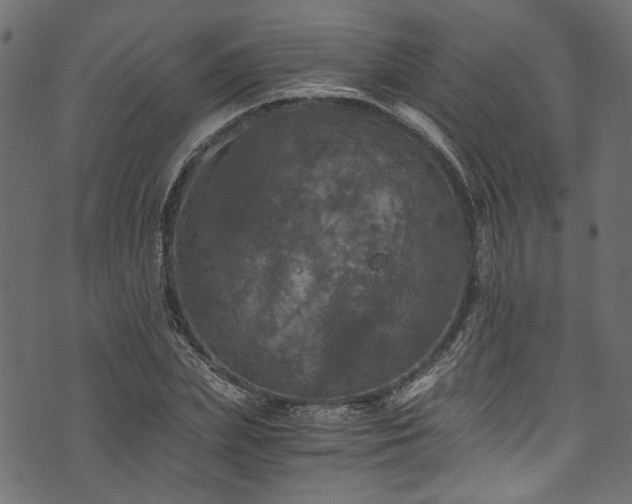X0000073980831200608281236