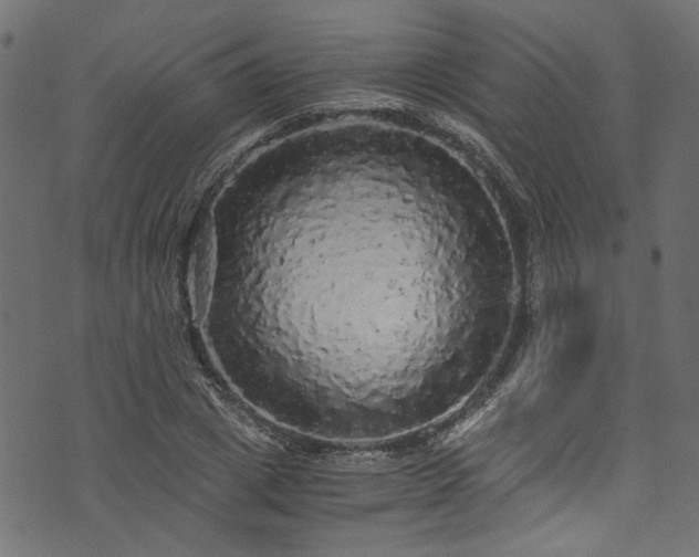 X0000073980833200608281236
