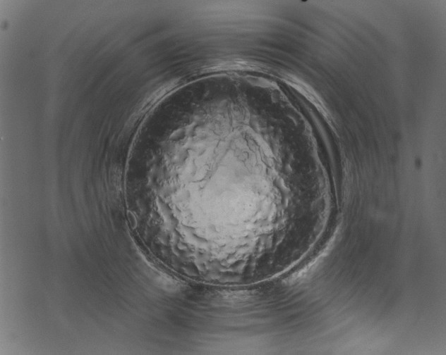 X0000073980849200608281237