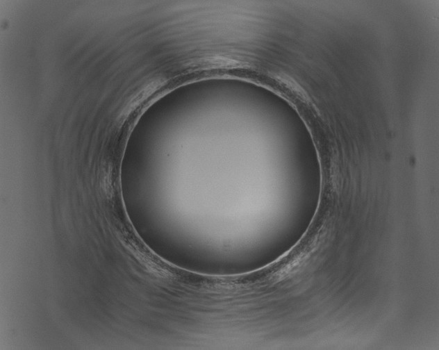 X0000073980873200608281236