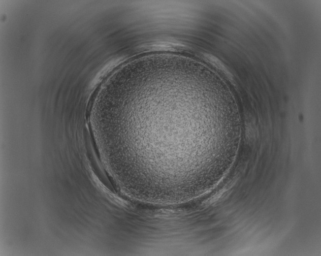 X0000073980938200608281235