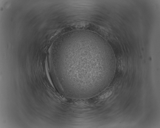X0000073980962200608281235