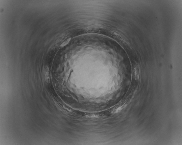 X0000073980963200608281235