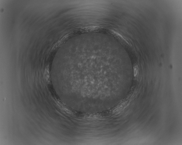X0000073981011200608281233