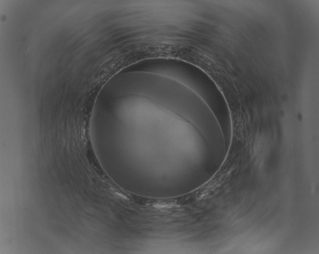 X0000073981013200608281233