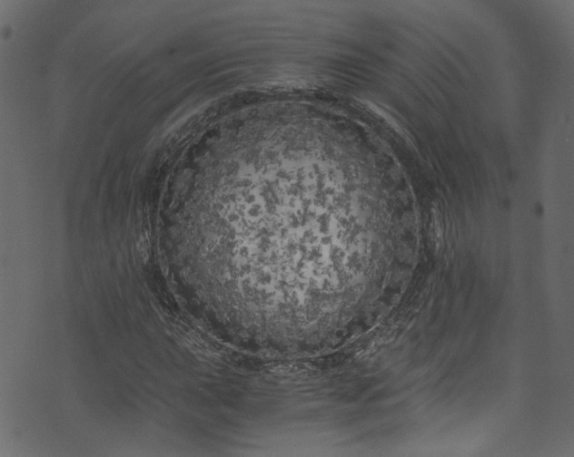 X0000073981015200608281233