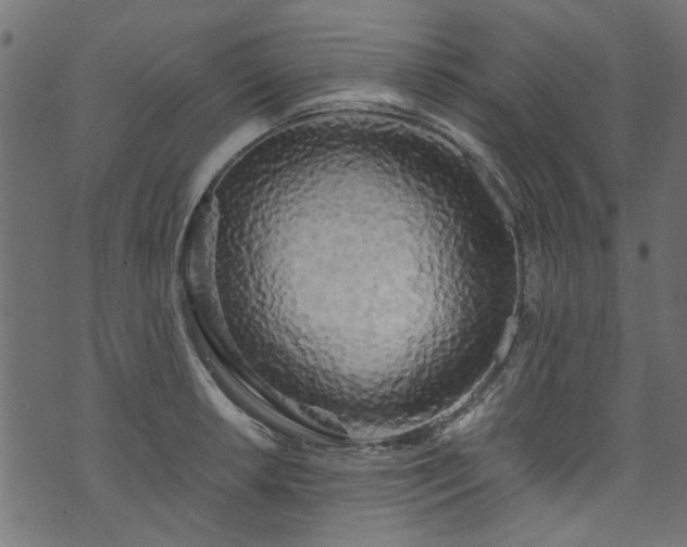 X0000073981042200608281234
