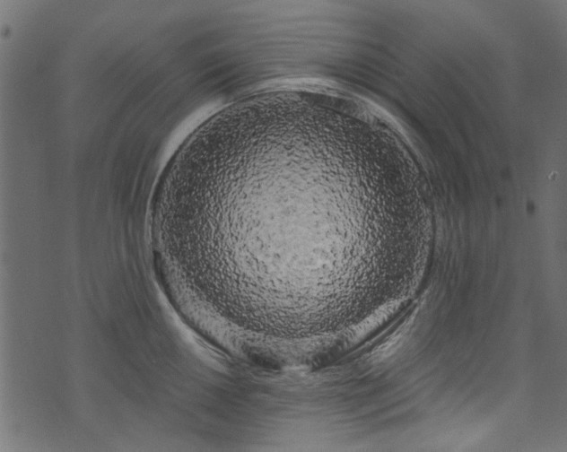X0000073981050200608281234