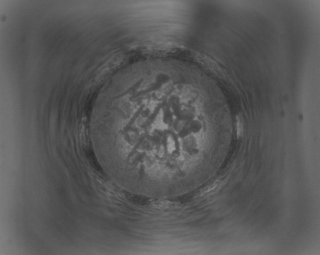 X0000073981059200608281233