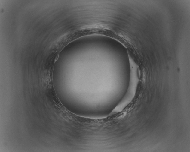 X0000073981062200608281233