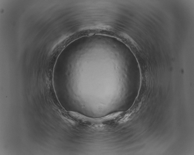 X0000073981064200608281233