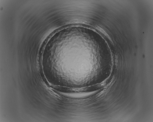 X0000073981068200608281233