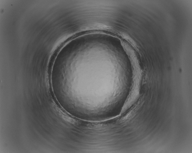 X0000073981072200608281233