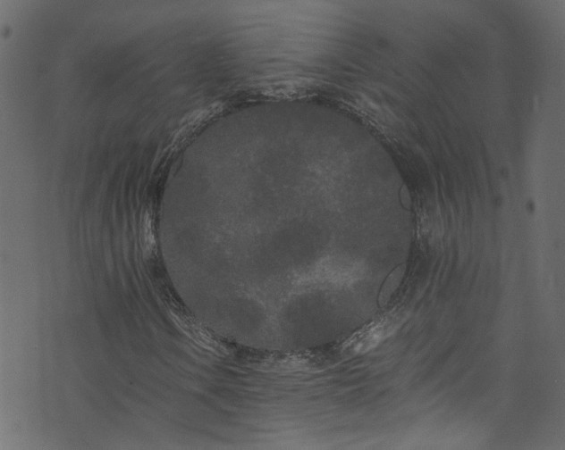 X0000073981106200608281231