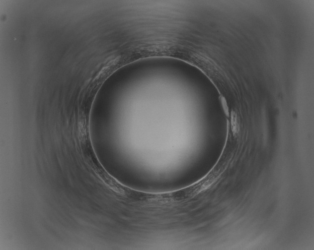 X0000073981107200608281232