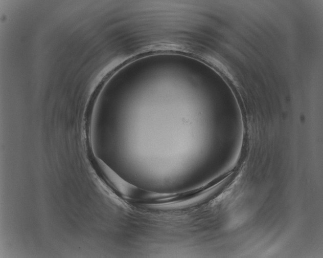 X0000073981133200608281232