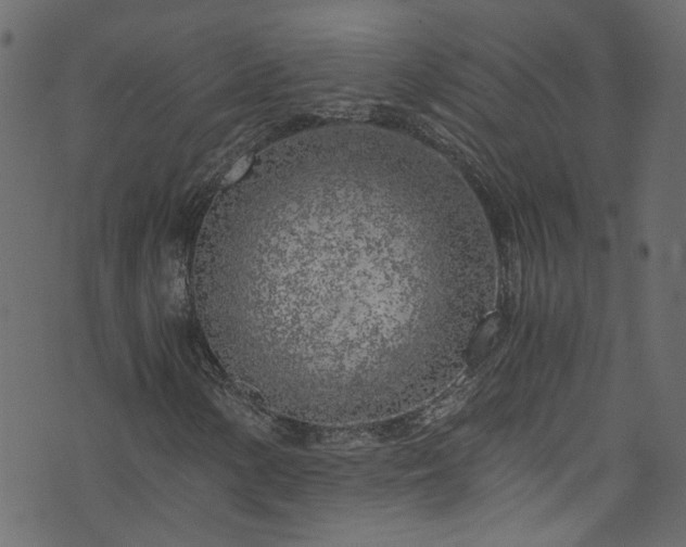 X0000073981154200608281231