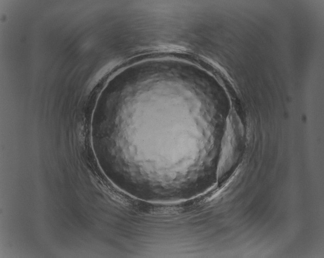 X0000073981163200608281231