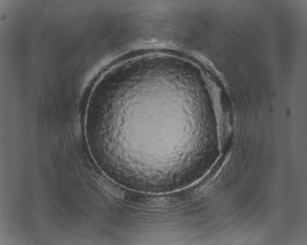X0000073981167200608281231