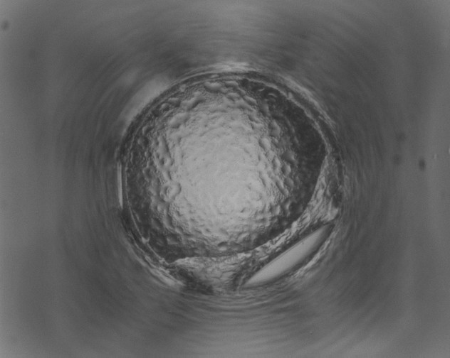 X0000073981171200608281231