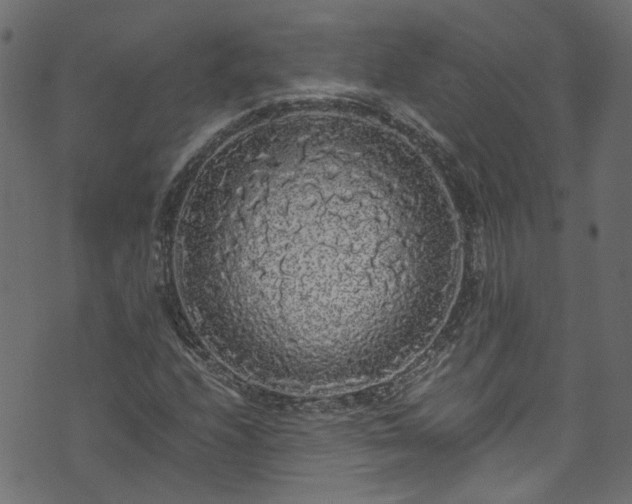 X0000073981208200608281230