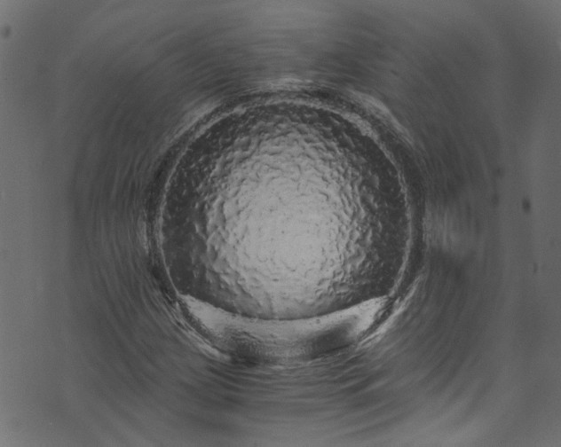 X0000073981209200608281230