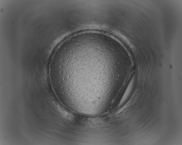X0000073981264200608281230