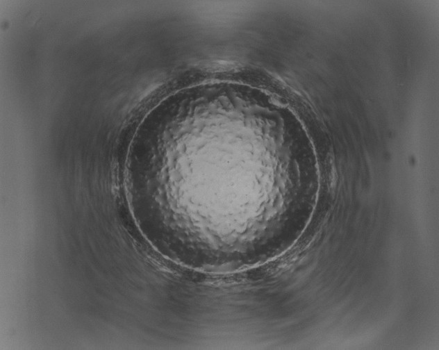X0000073981301200608281228
