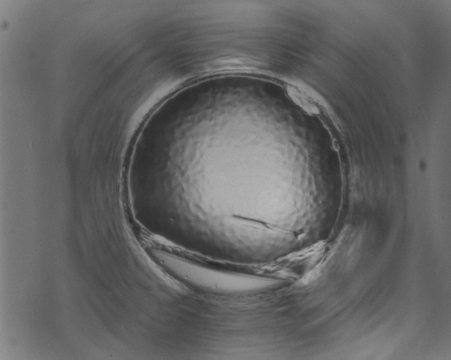 X0000073981333200608281229