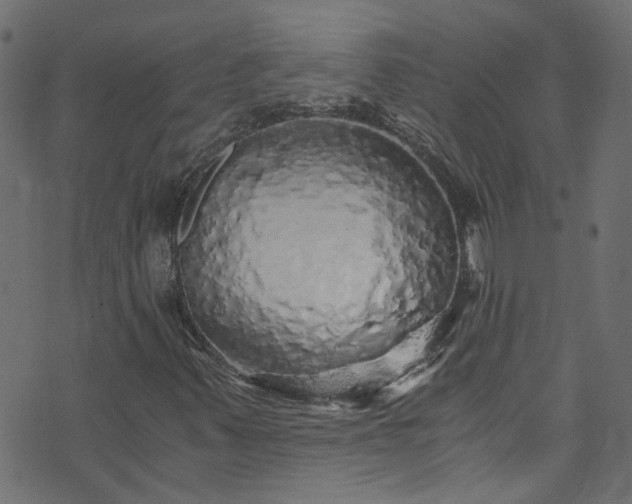 X0000073981347200608281228