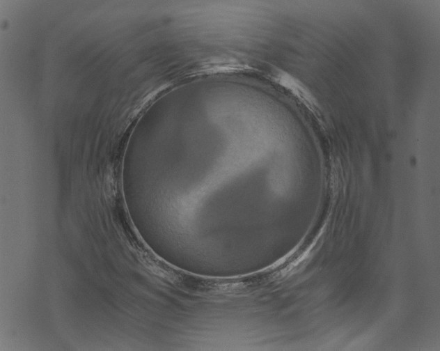 X0000073981353200608281228