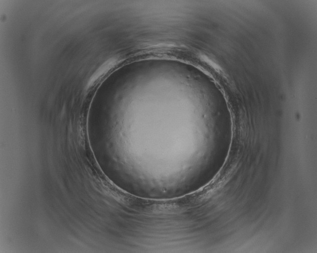 X0000073981354200608281228