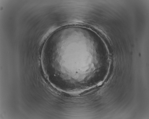 X0000073981363200608281228