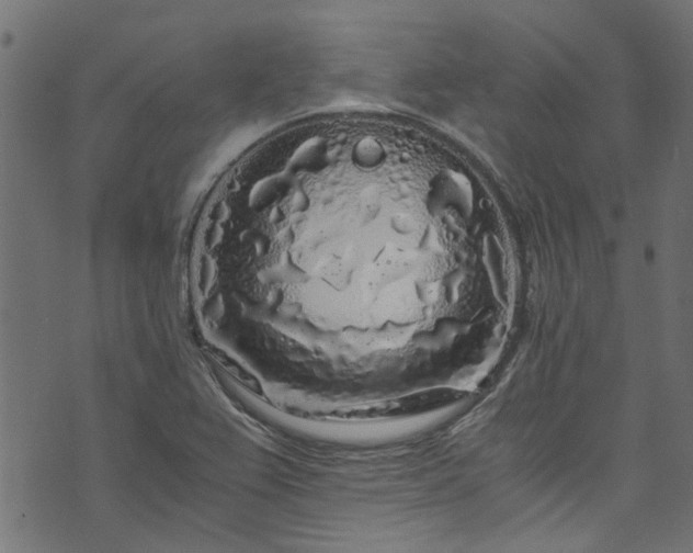 X0000073981367200608281228