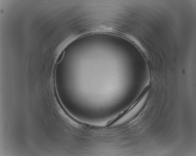 X0000073981387200608281228