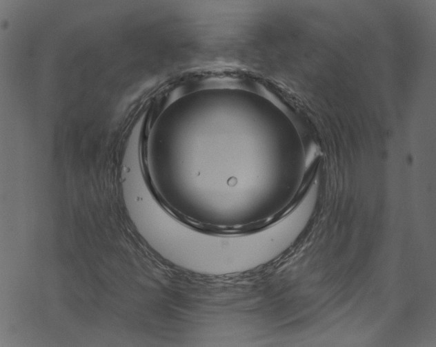 X0000073981398200608281227