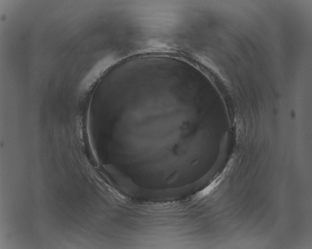 X0000073981455200608281226
