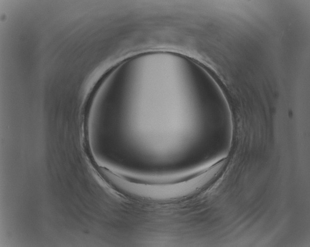 X0000073981511200608281225